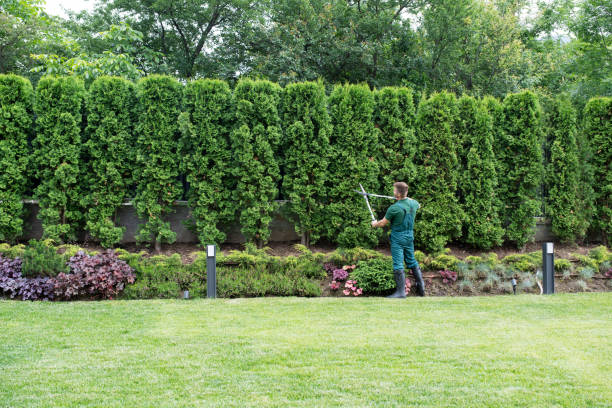 Lawn Watering Services in East Grand Forks, MN